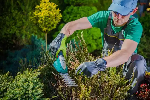 landscaping services Alcorn State University